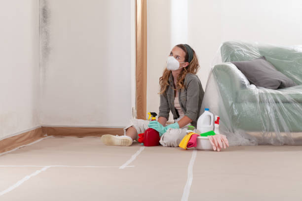 Reliable Black Mold Removal contractor in Wharton, NJ by WQB Mold Removal